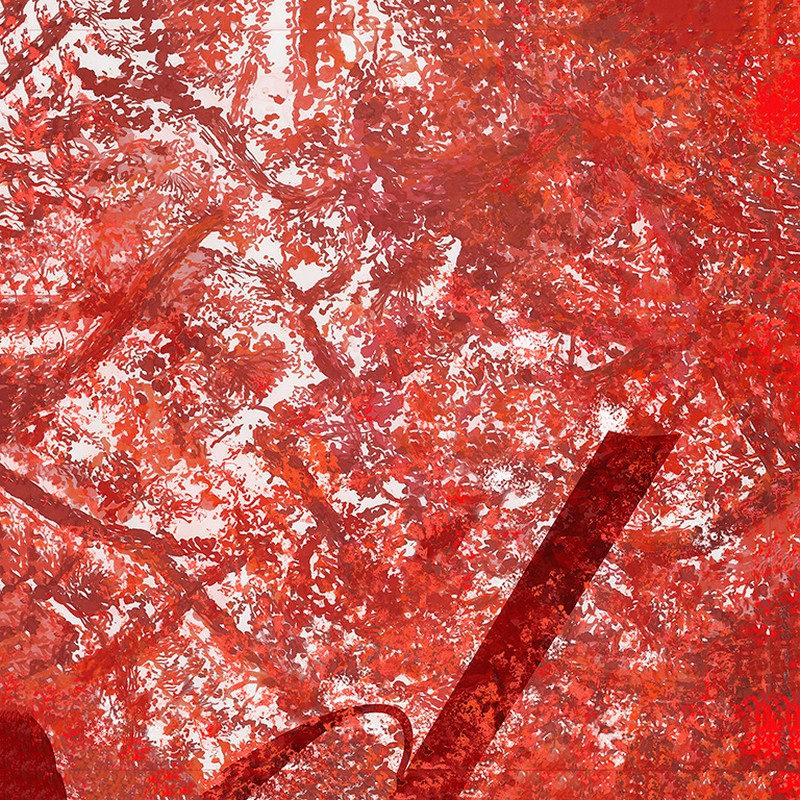 Série "This is not"