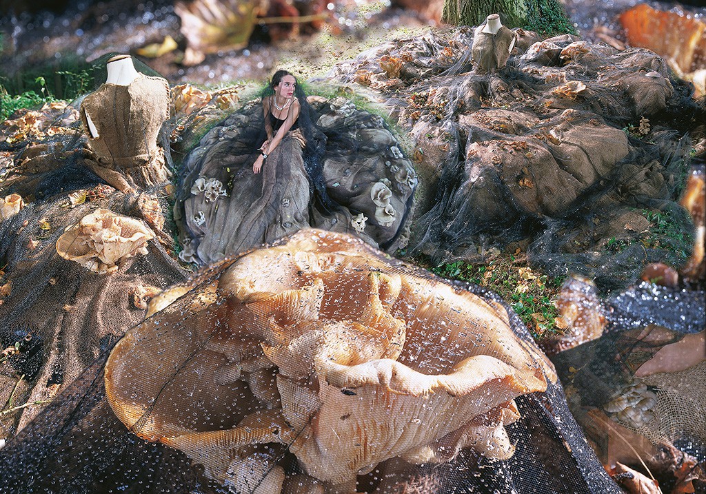 Mushroom Dress,1999