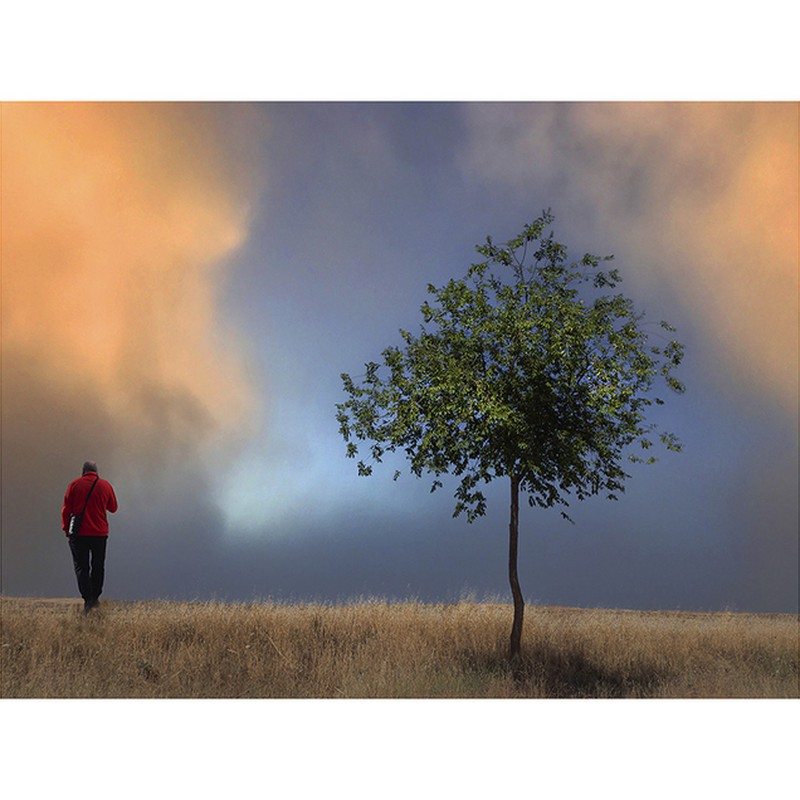 Voy sin rumbo caminando