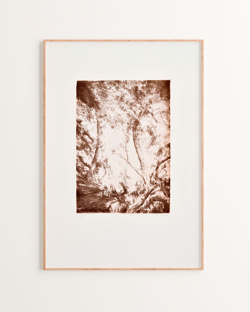 Série "This is not"