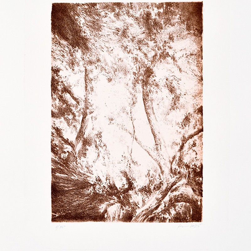 Série "This is not"