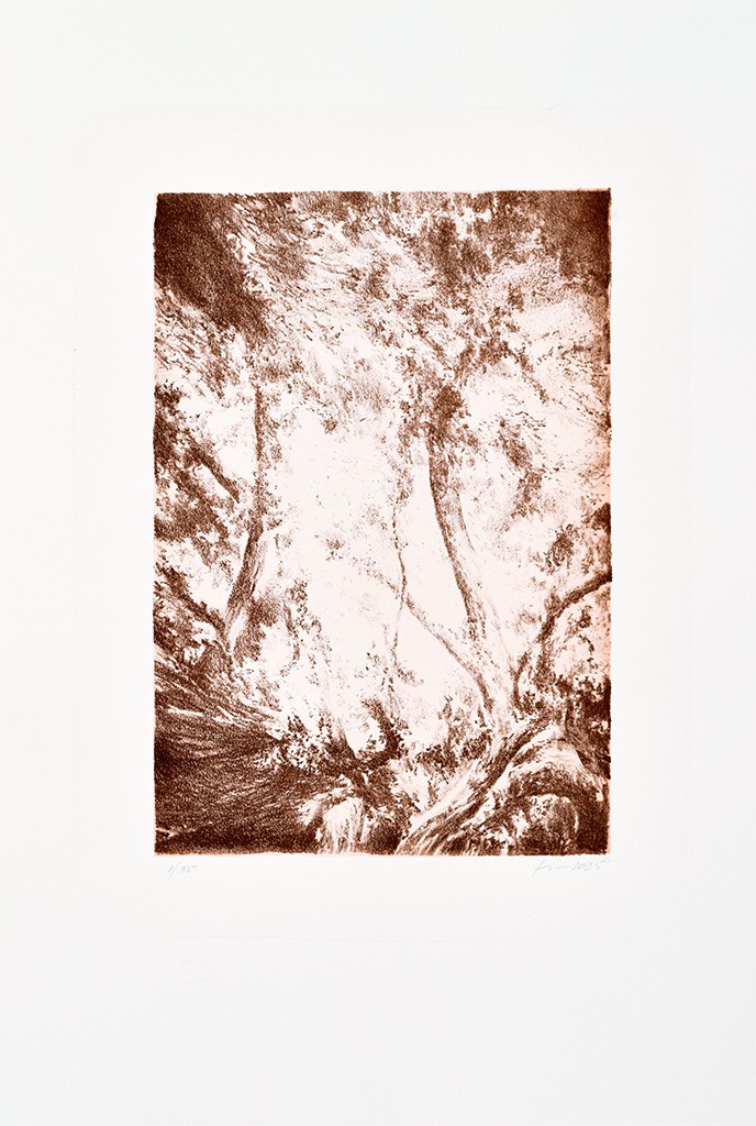 Série "This is not"