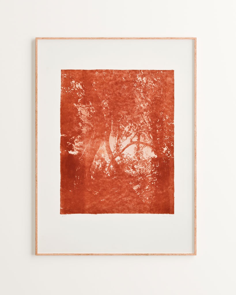 Série "This is not"