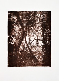 Série "This is not"