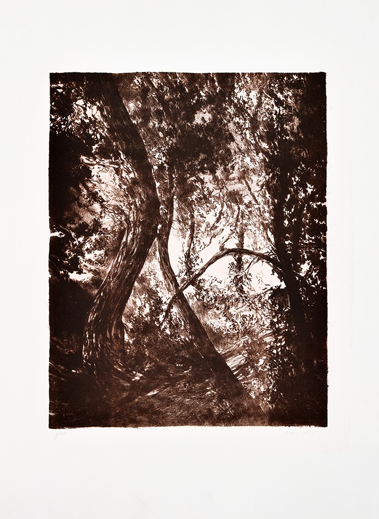 Série "This is not"