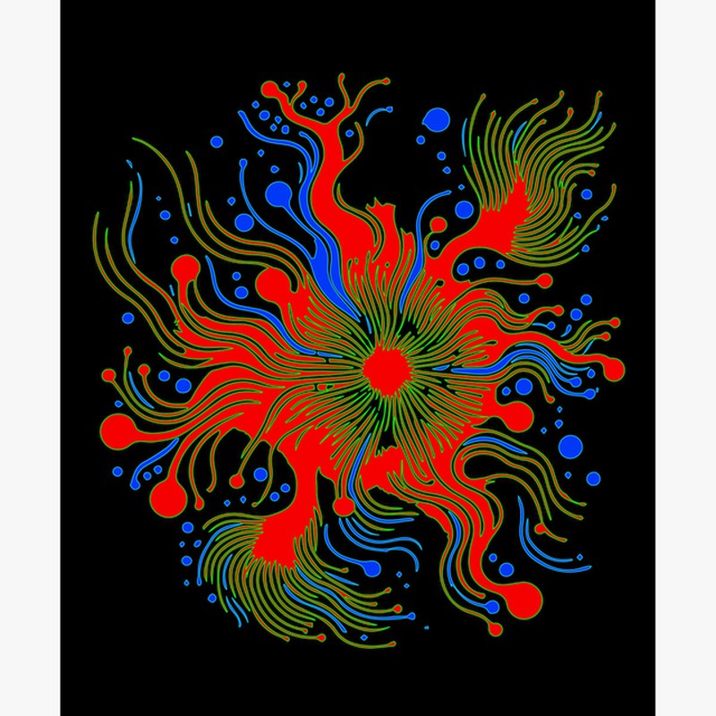 Splash 4