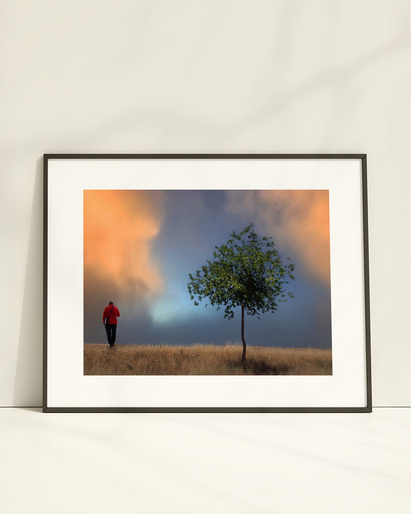 Voy sin rumbo caminando