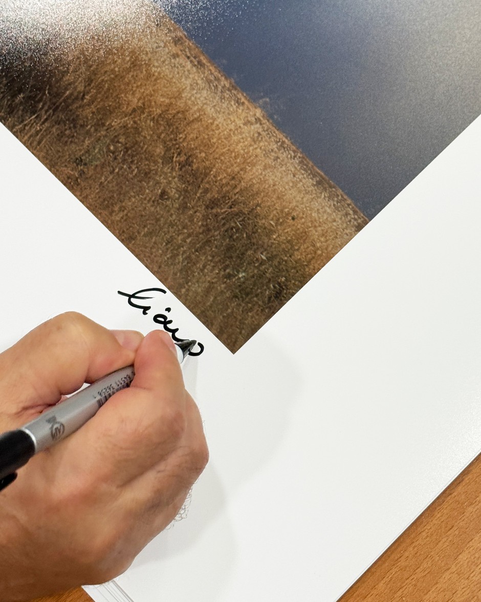 Voy sin rumbo caminando